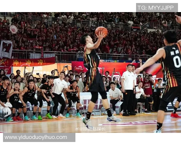 篮球的魅力与挑战：从技术细节到竞技精神的全面解析